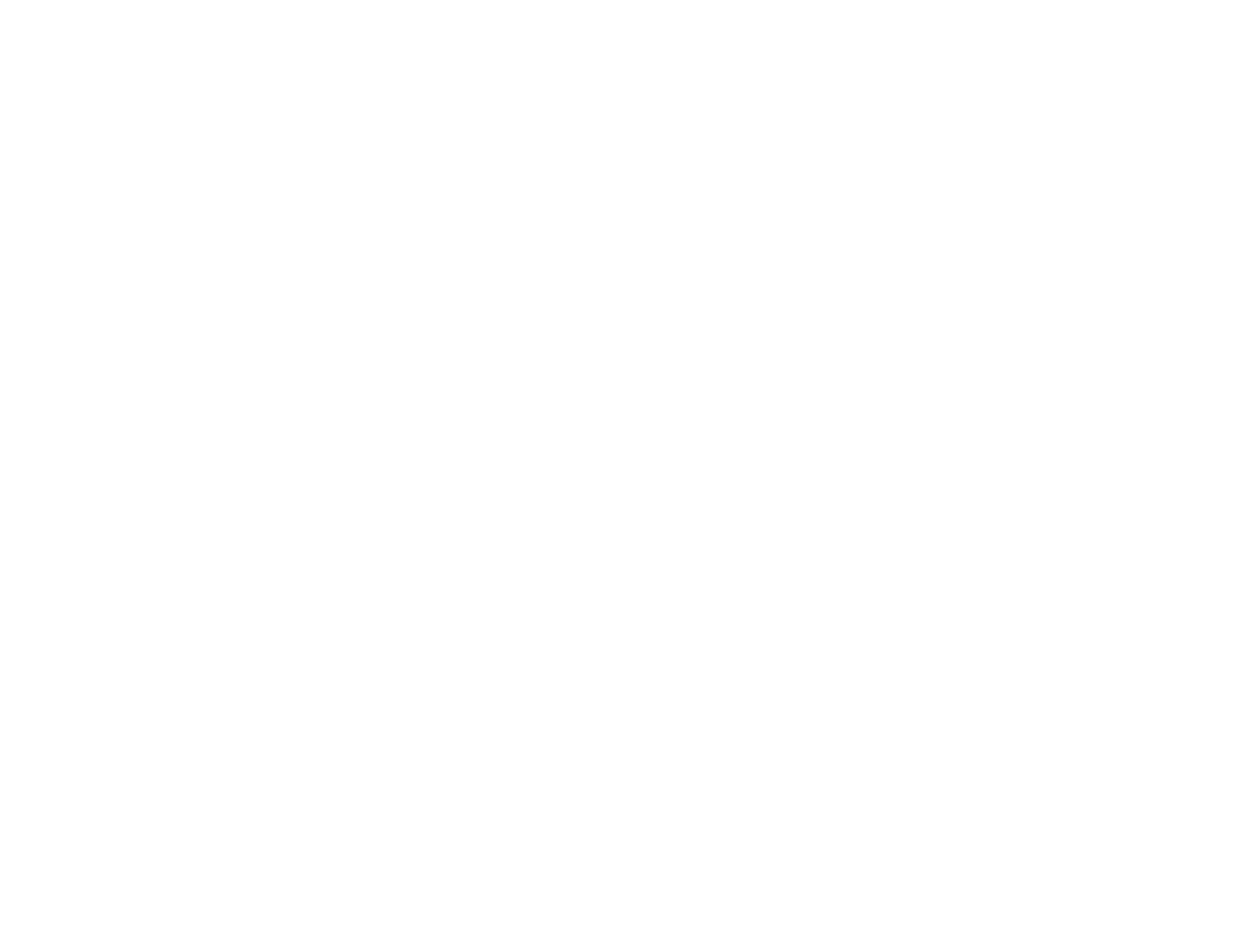 Fenix Logo